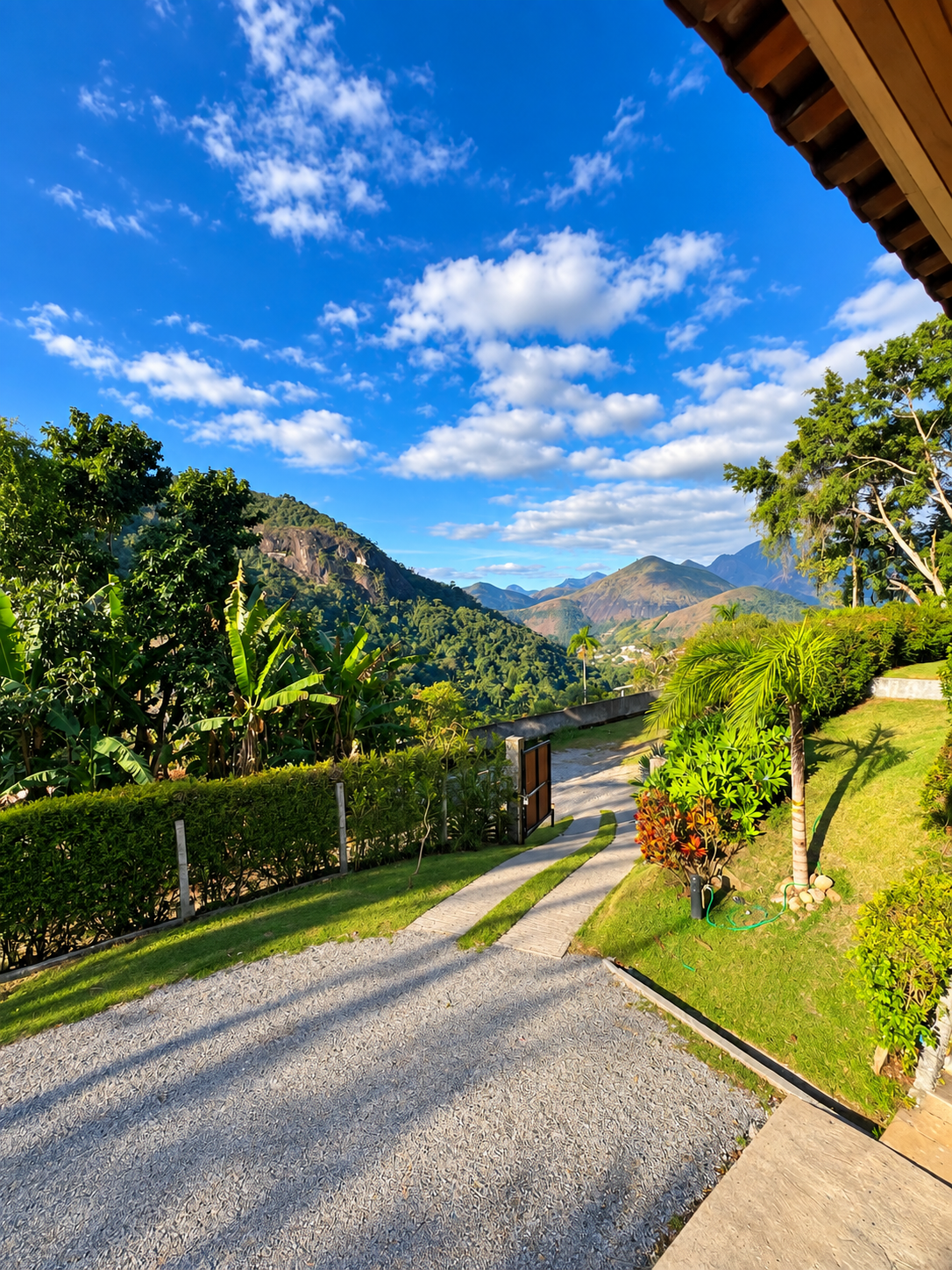 05BF0AEE-6482-4B66-A036-6D5894E9E772
